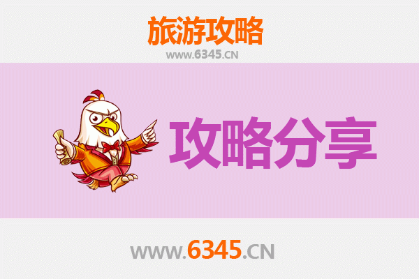 天水清水至湄洲岛旅游攻略：跟团与自由行深度对比